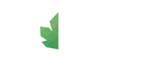 Boston Festival of Indie Games